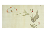 Poppy from Primrose  Mount Fuji  Bamboo and Toy Bird  Kanzan and Jittoku  Cuckoo under the Moon …
