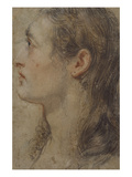 The Head of a Youth  in Profile to the Left