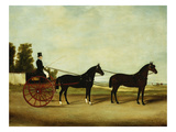 Coachman in a Tandem