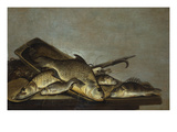 A Carp  Perch and a Pike in a Wooded Tray with Nets and a Gaff on a Table