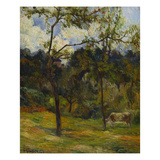 Normandy Landscape; Paysage De Normandie  Vache Dans Un Pre