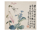 A Page (Dragonfly) from Flowers and Bird  Vegetables and Fruits