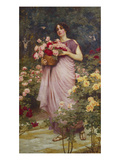 In the Garden of Roses