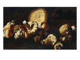 Porcini Mushrooms  Grapes and Figs on a Bank