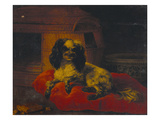 A Spaniel on a Cushion with a Dog Basket and a Porcelain Bowl