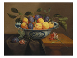 Plums and Apricots in a Wanli Kraak Porselein Bowl with a Carnation  a Rose