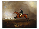 Thomas Mellish on His Hunter 'saucebox'