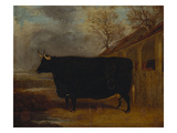 A Black Bull Standing by a Cowshed  an Extensive Landscape Beyond