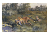 A Vixen with Her Cubs in a Wooded Marshy Landscape
