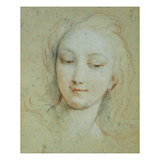 The Head of Venus