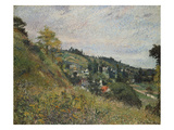 Hillside in Auvers; Sente Et Coteaux D'Auvers