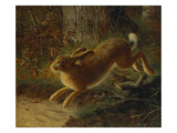 A Hare in a Landscape