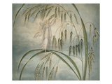 A Fairy Waving Her Wand Standing Among Blades of Grass