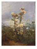 Thistles