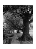 House & Garden - July 1948