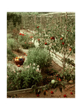 House & Garden - January 1956