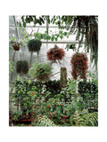 House & Garden - August 1963