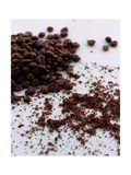 Gourmet - September 2006
