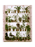 House & Garden - December 1955