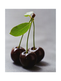 Gourmet - November 2004