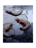 Gourmet - March 2007