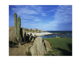 Cabo del Sol Golf Club  Hole 17