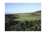 Royal Portrush Golf Club  fairway