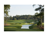 TPC Sawgrass Stadium Course  Hole 4