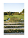 Oakmont Country Club  Hole 3  'Church Pews' bunker