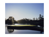 TPC Sawgrass the Stadium Course  Hole 17