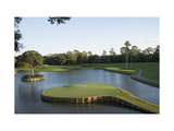 TPC Sawgrass Stadium Course  Island green  Hole 17