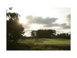 King Carter Golf Club  morning sunlight