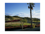 Palmilla  Hole 4