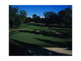 Oak Hill CC  Hole 11