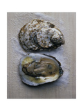 Gourmet - December 2004