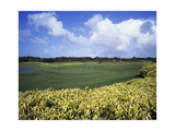 Sandy Lane Country Club Green Monkey  Hole 4