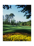 Caledonia Golf and Fish Club  Hole 11