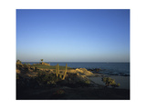 Cabo del Sol Golf Club  Hole 17