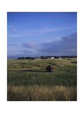 Muirfield Golf Club  Hole 7