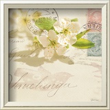 Vintage Letter and Apple Blossoms