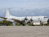 A Portuguese Air Force P-3P Orion at Beja Air Base  Portugal