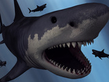 A Megalodon Shark from the Cenozoic Era