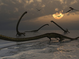 Illustration of a Herd of Tanystropheus Reptiles