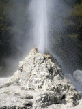 Lady Knox Geyser  Wai-O-Tapu Geothermal Area  Taupo Volcanic Zone  New Zealand