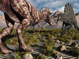 A Confrontation Between a T Rex and a Spinosaurus Dinosaur