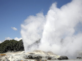 Pohutu and Prince of Wales Feathers Geyser  Whakarewarewa  Rotorua  New Zealand