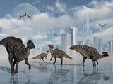 A Group of Parasaurolophus Duckbill Dinosaurs Gather at a Feeding Ground