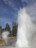 Grand Geyser Erupting  Upper Geyser Basin Geothermal Area  Yellowstone National Park