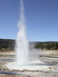 Sawmill Geyser  Upper Geyser Basin Geothermal Area  Yellowstone National Park  Wyoming