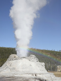 Castle Geyser Eruption  Upper Geyser Basin Geothermal Area  Yellowstone National Park  Wyoming